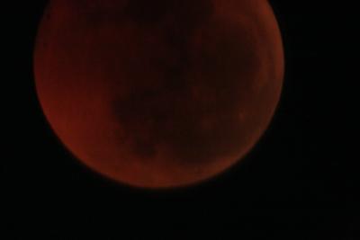 img_8278.jpg